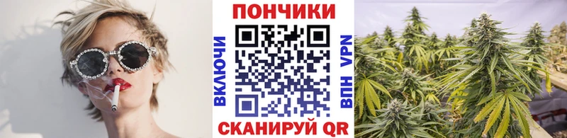Где можно купить наркотики Новошахтинск A PVP АМФ Марихуана COCAIN Метамфетамин Меф