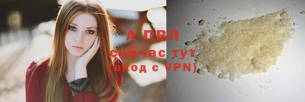 apvp Алзамай